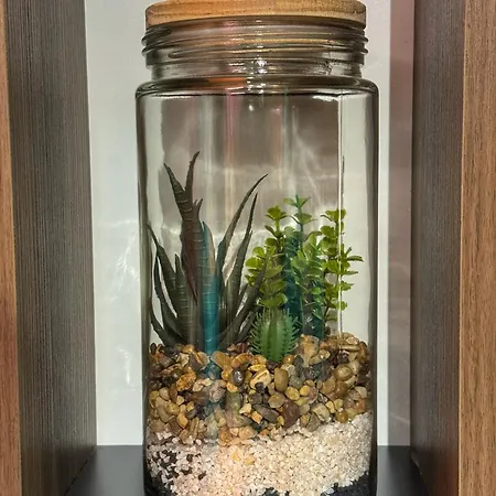 Apartman Ohana