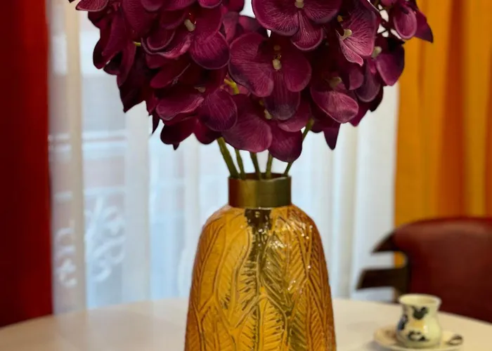 Ohana Lejlighed Tirana