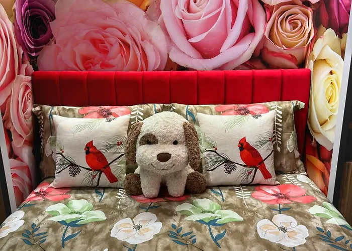 Ohana Appartamento Tirana