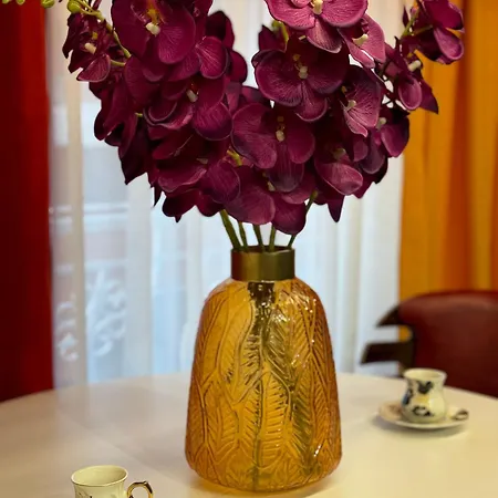 Ohana Appartement Tirana
