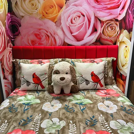 Ohana Apartamento Tirana