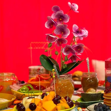 Apartament Ohana Tirana