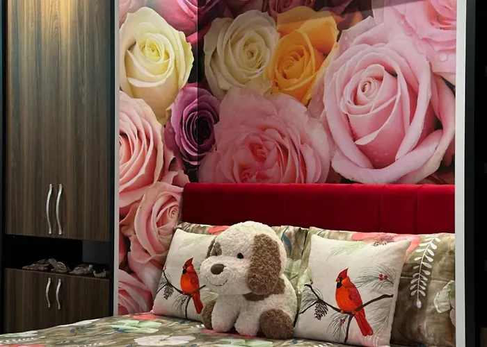 Ohana * Тирана